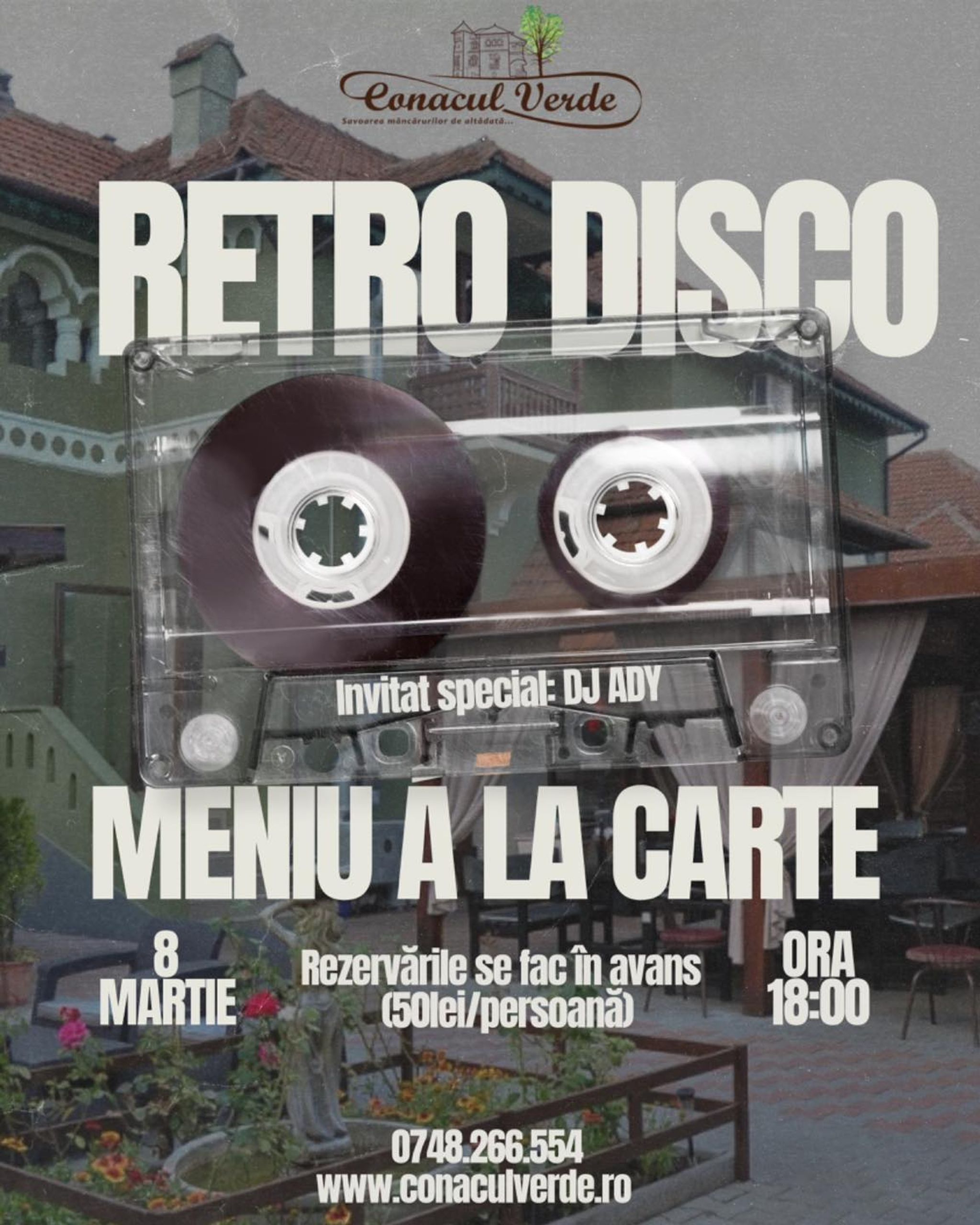 Petrecere în stil Retro Disco