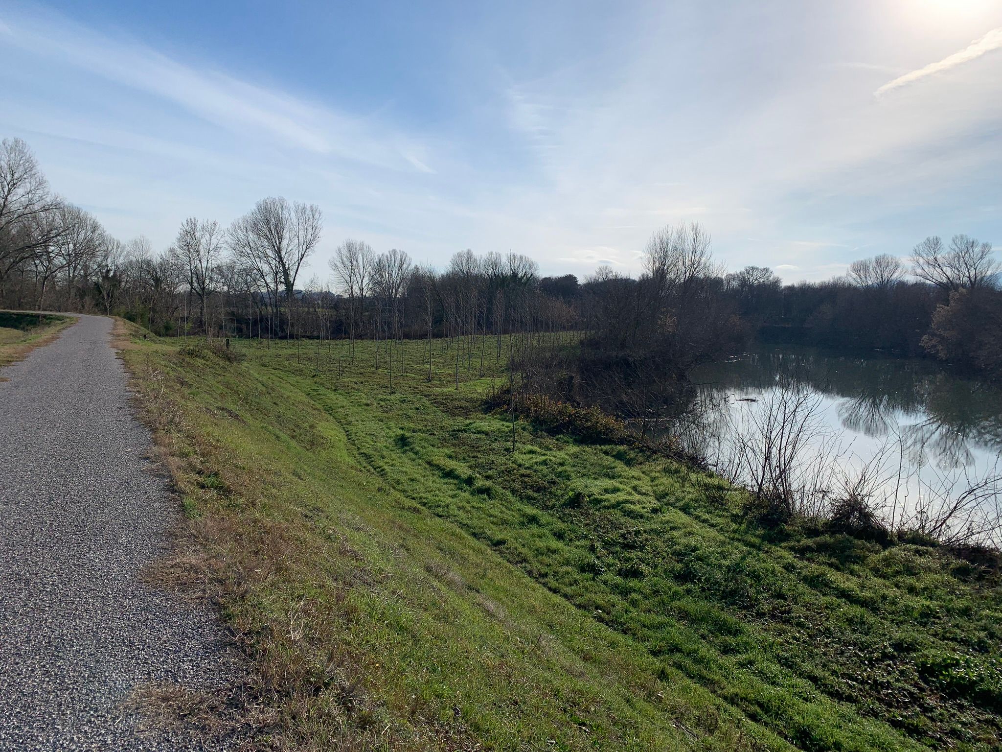 Euganean Hills + Bacchiglione river cycle path