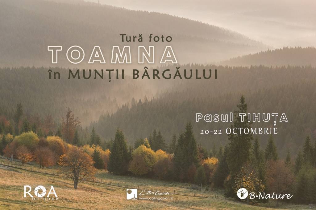 Tură de drumeție și fotografie în Munții Bârgăului