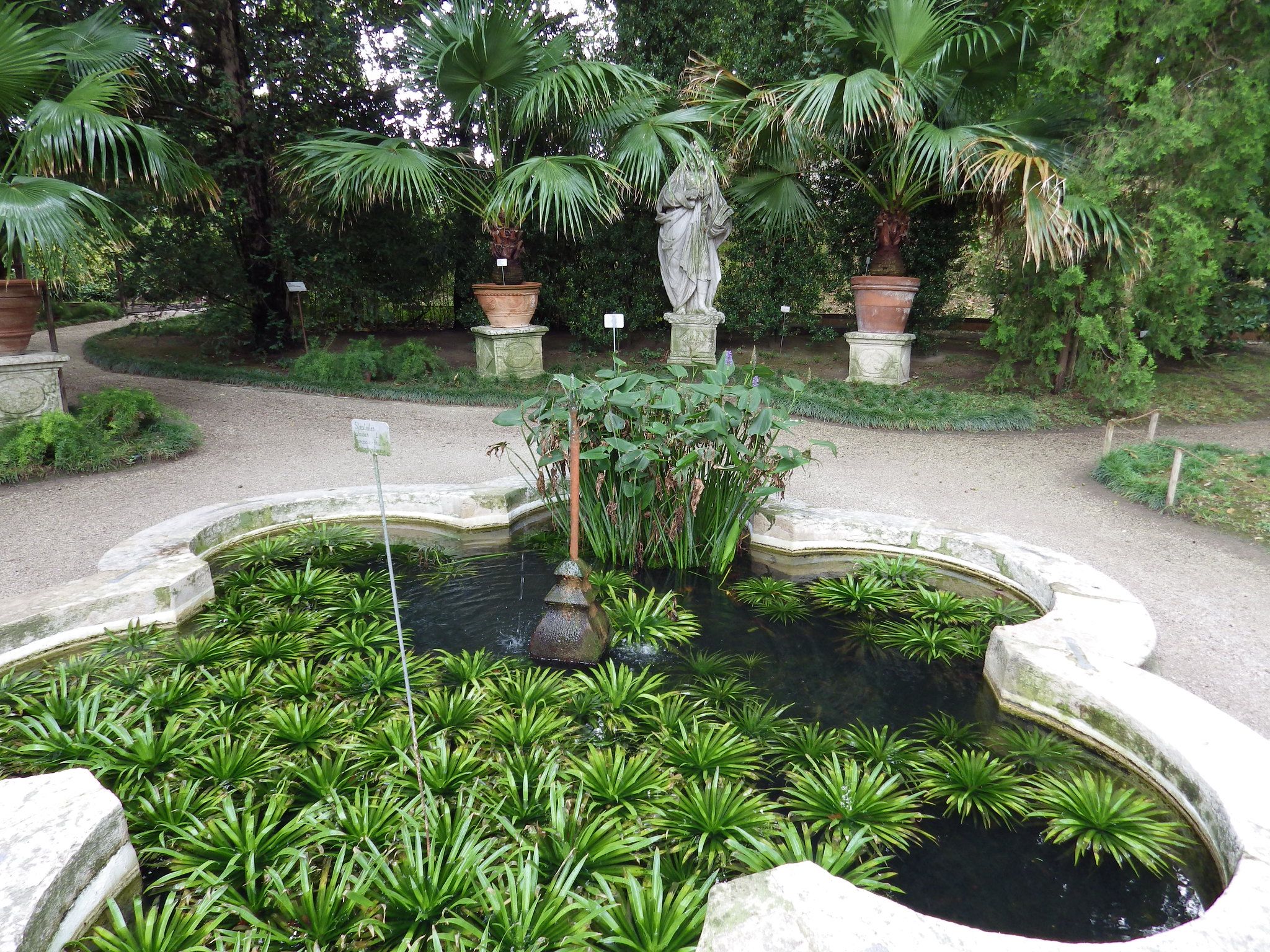 botanical garden, padua