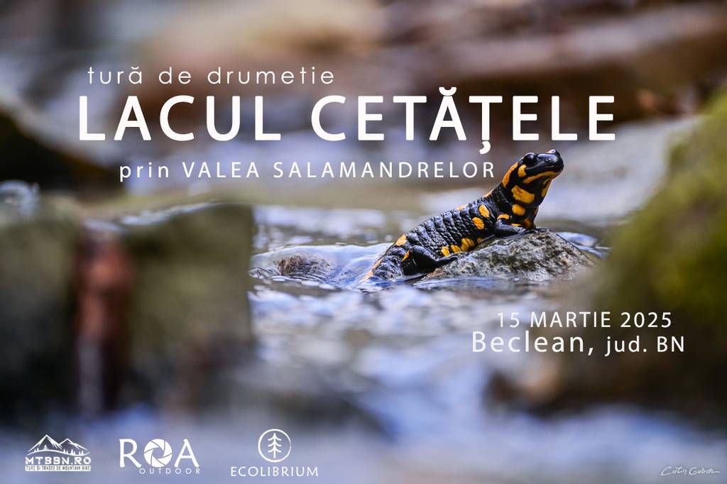 Lacul Cetățele prin valea Salamandrelor