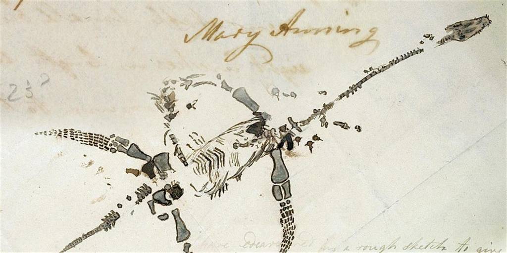 Cacciatrici di fossili: figure femminili nella storia della Paleontologia