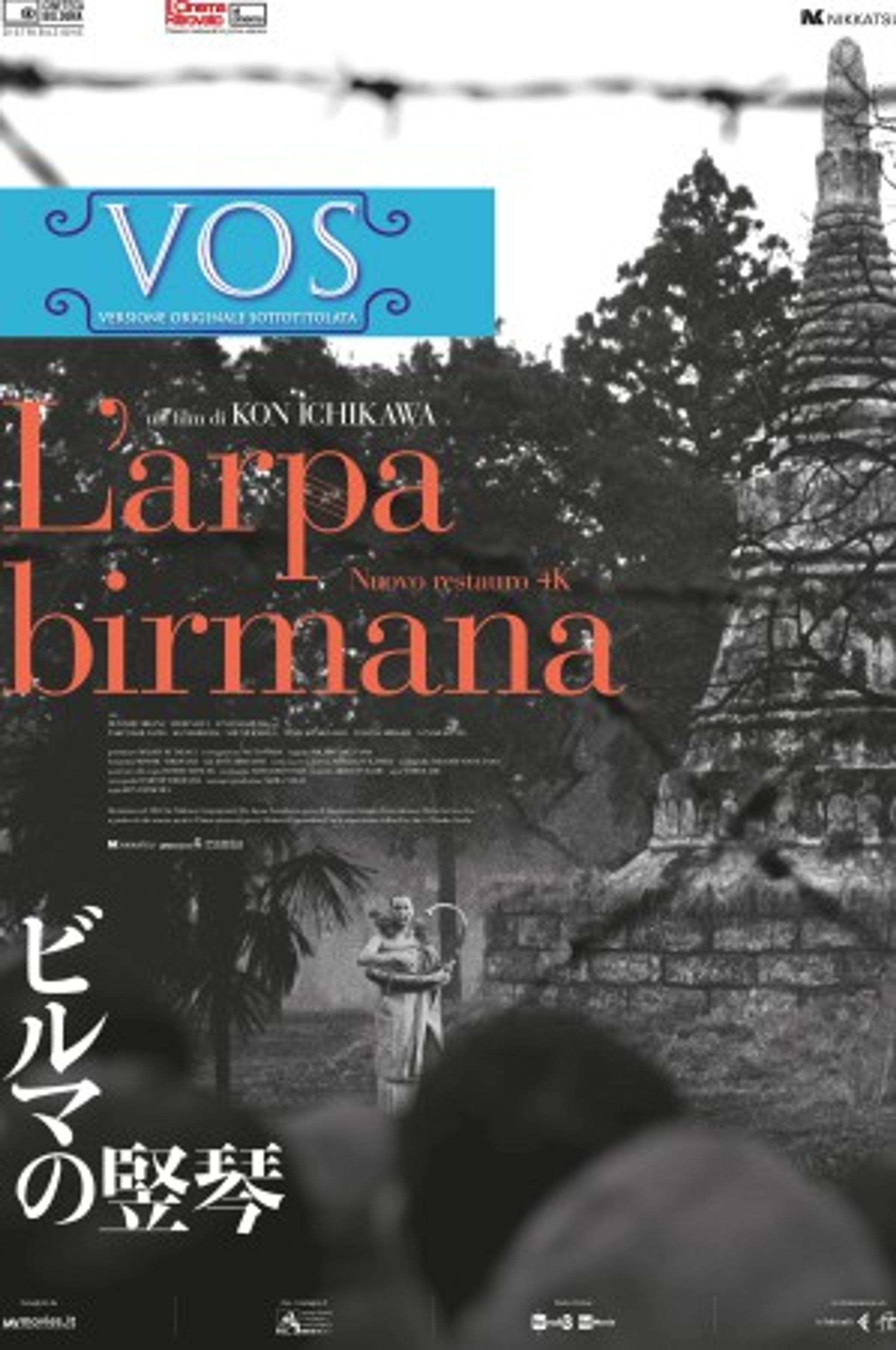 L'arpa birmana