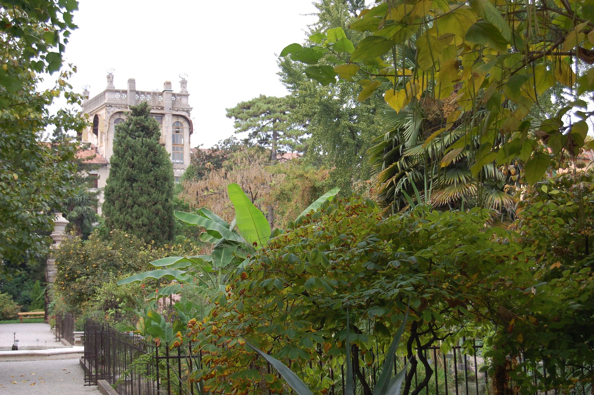 botanical garden, padua