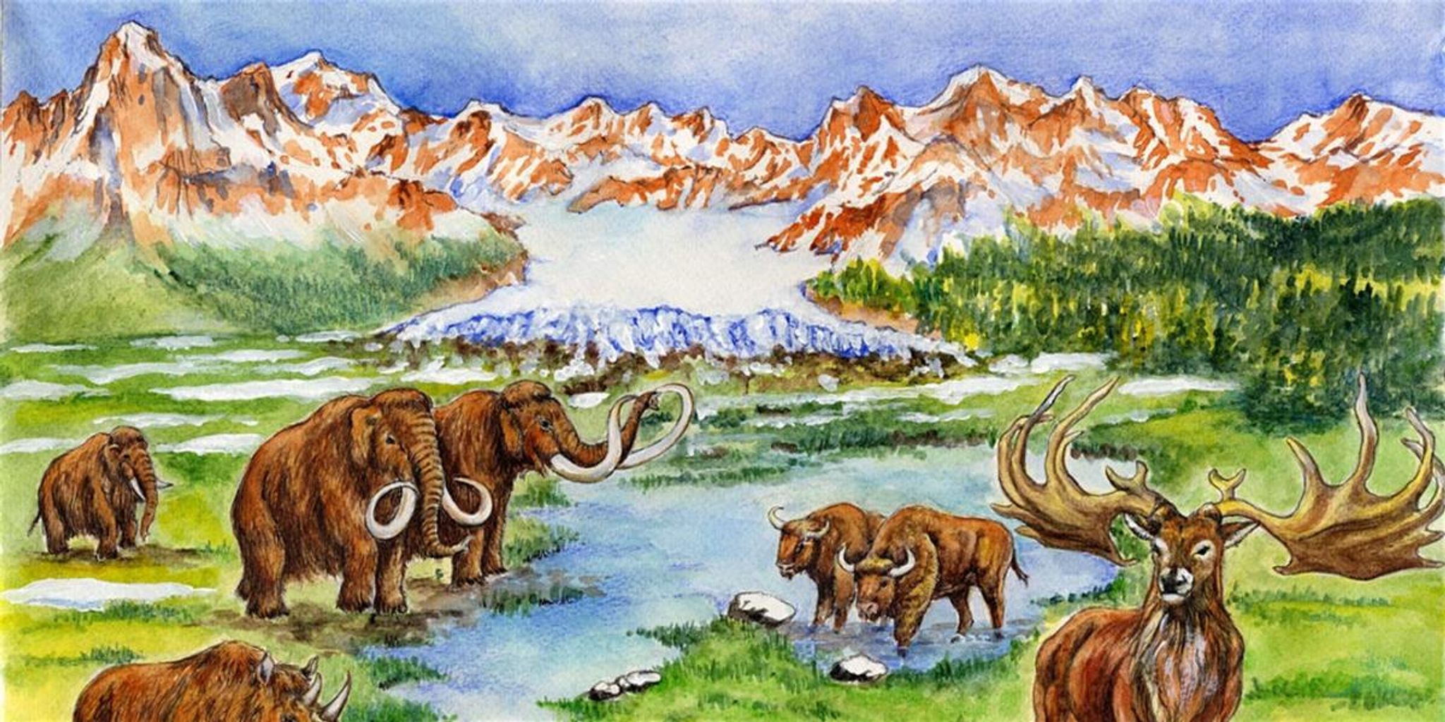 Benvenuti nell’Era Glaciale: i vertebrati e gli ambienti del passato