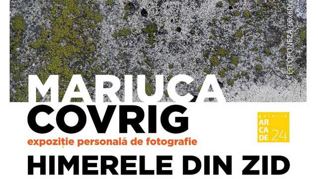 Mariuca Covrig: "Himerele din Zid"