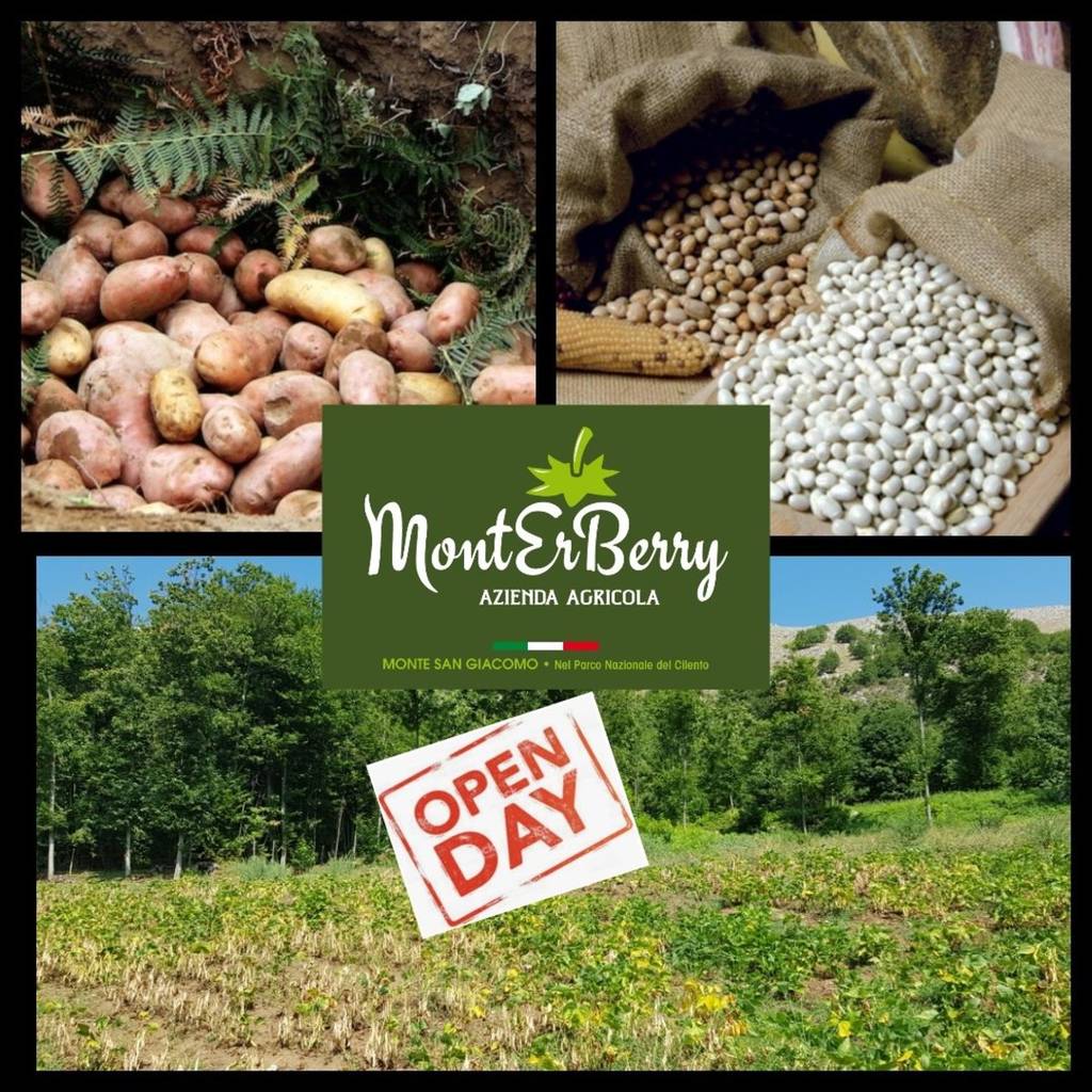 Primo Open Day d'Autunno Monterberry