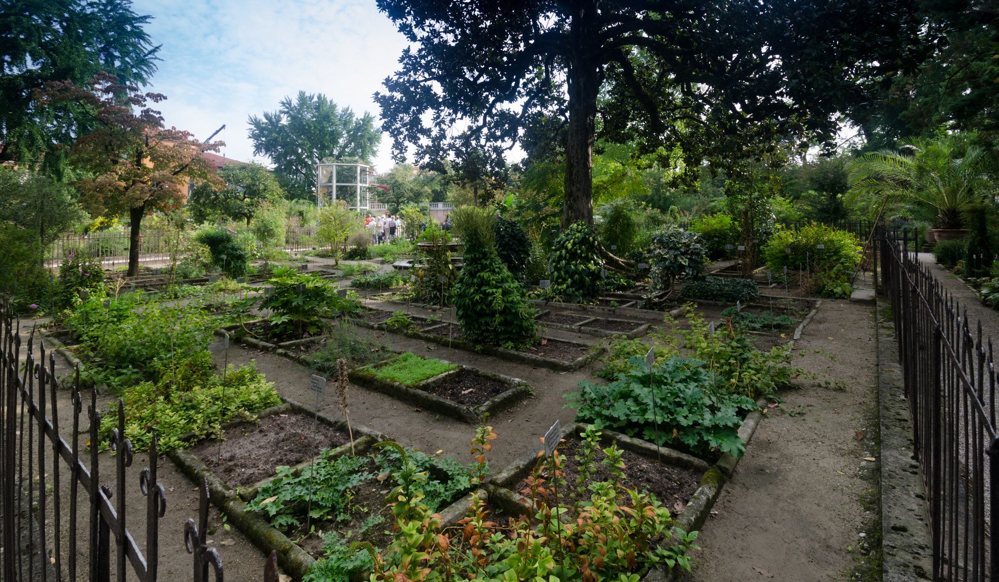 botanical garden, padua