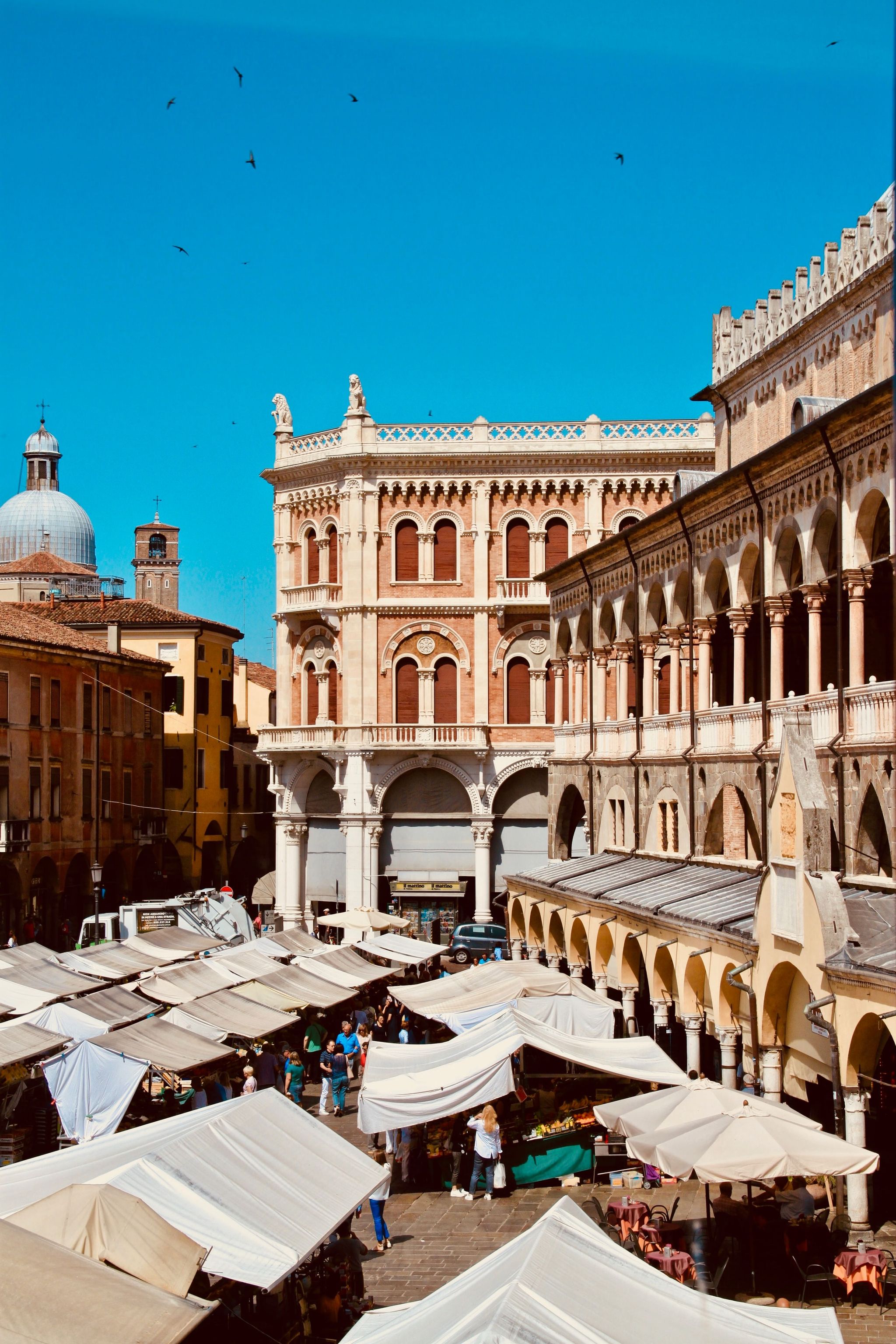 piazza delle erbe, palazzo della ragione