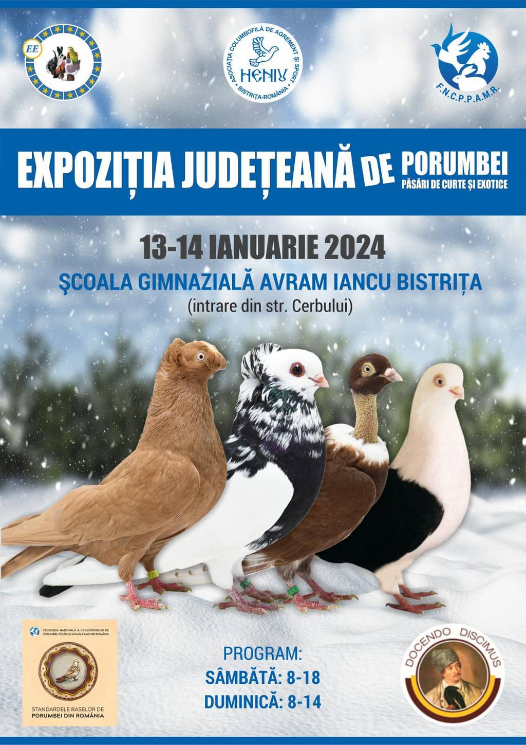 Expoziția județeană de porumbei, păsări de curte și exotice