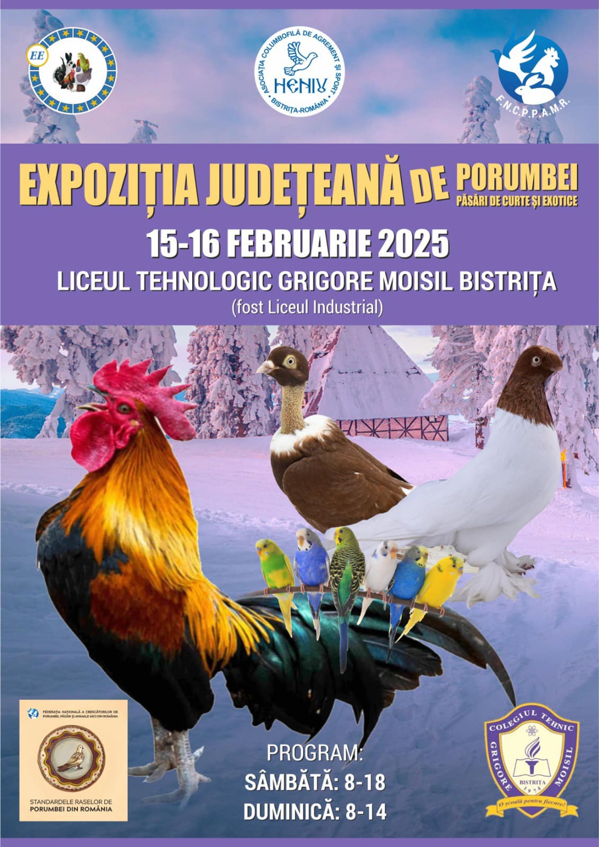 Expoziția județeană de porumbei, păsări de curte și exotice