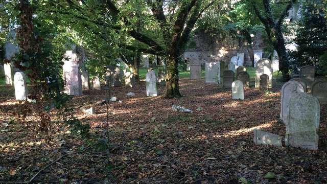 Tour of the Ancient Jewish Cemetery in via Wiel