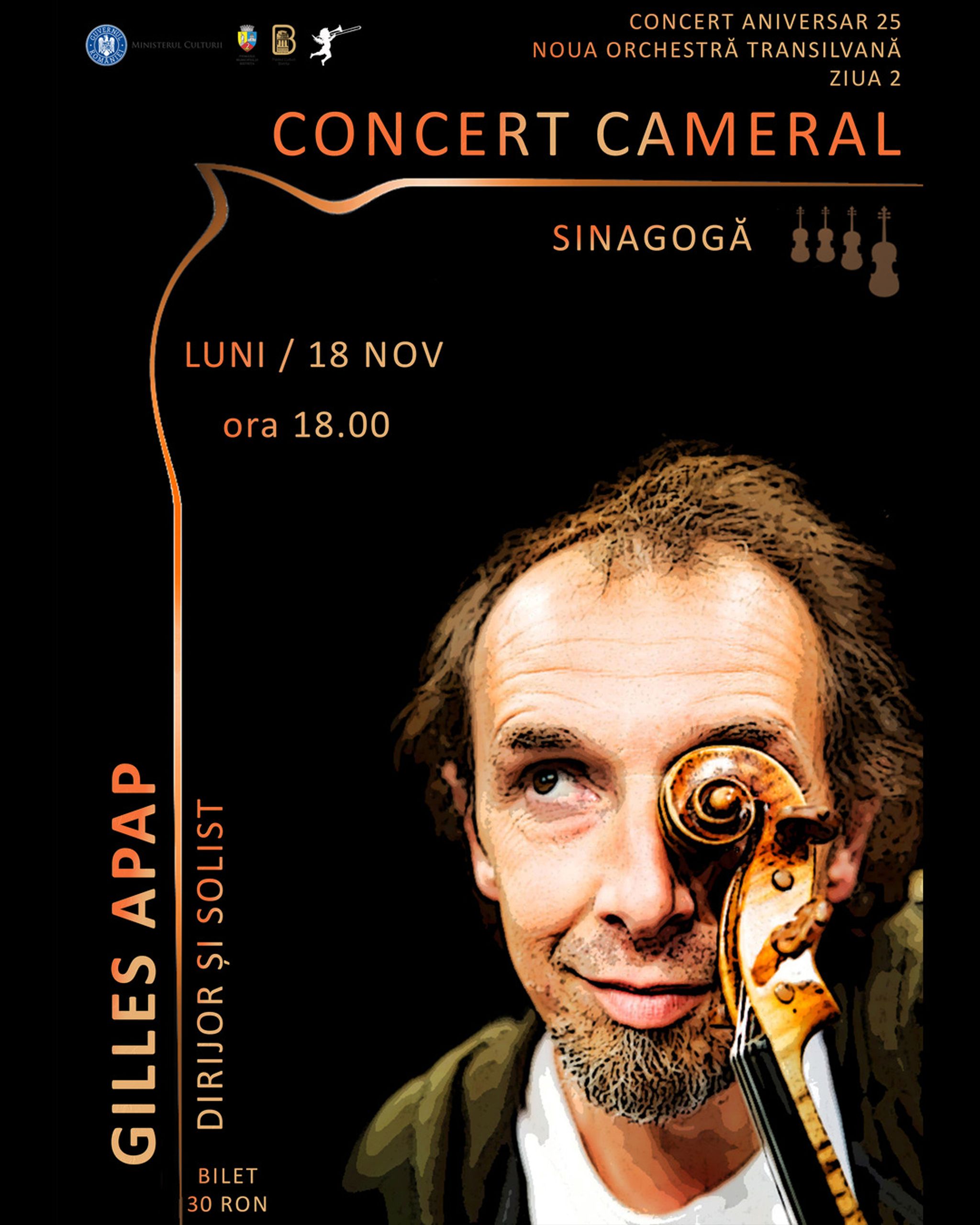 Concert Aniversar 25 ani: Concert Cameral