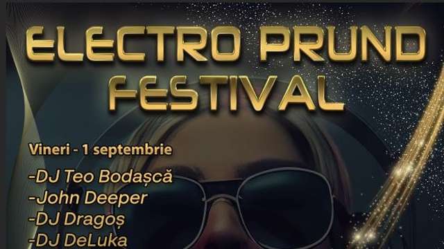 Electro Prund Festival