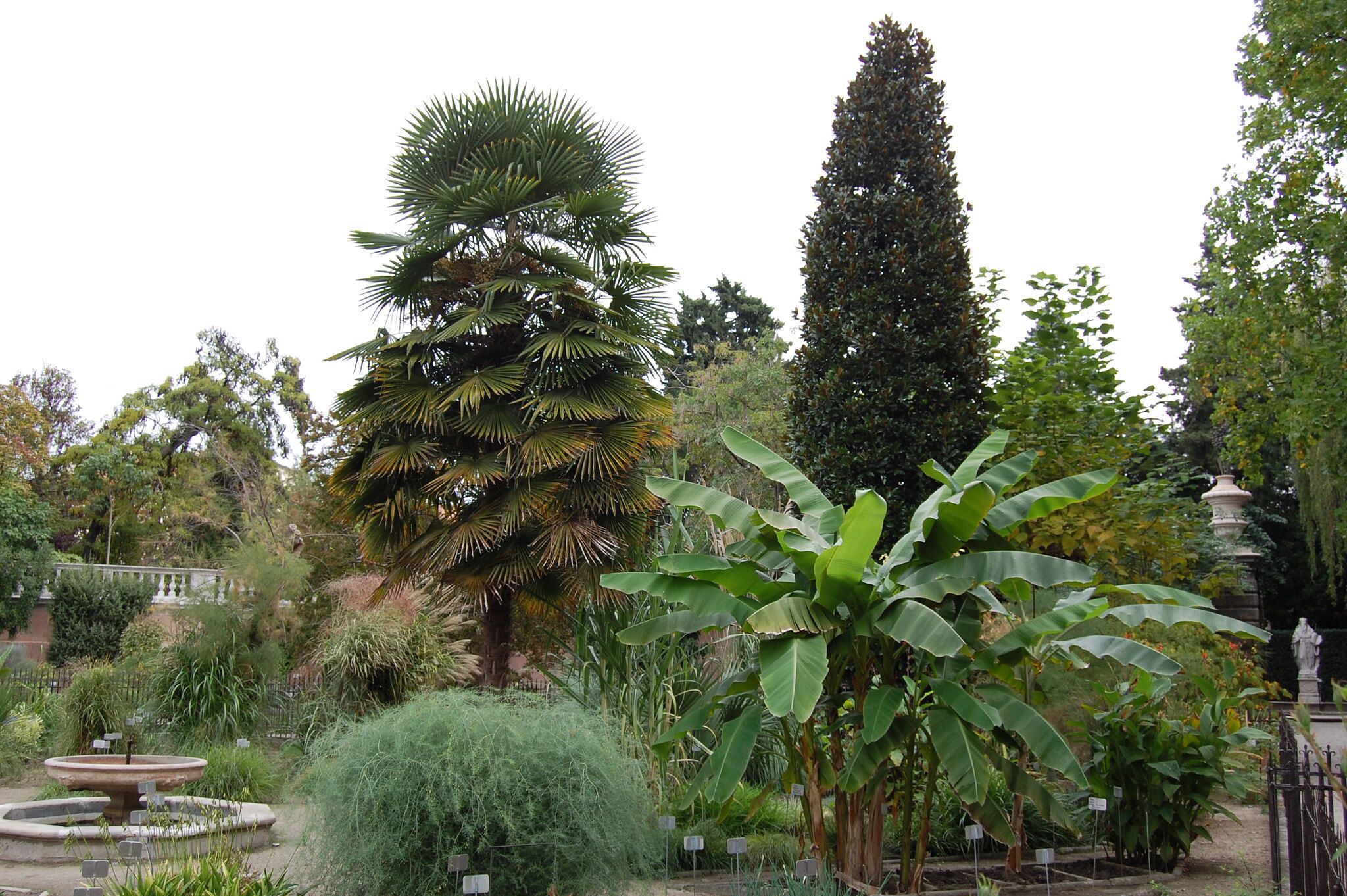 botanical garden, padua