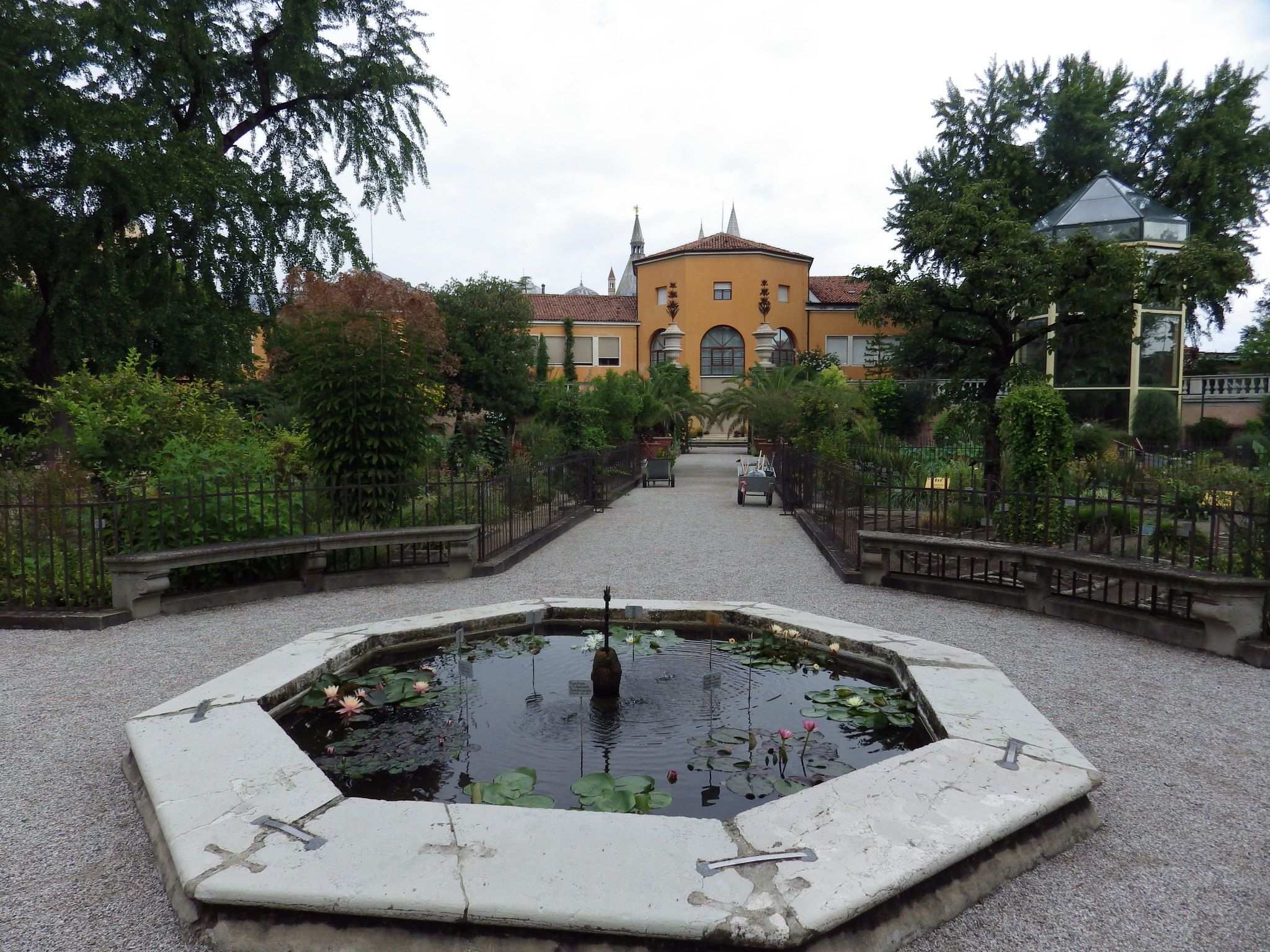 botanical garden, padua