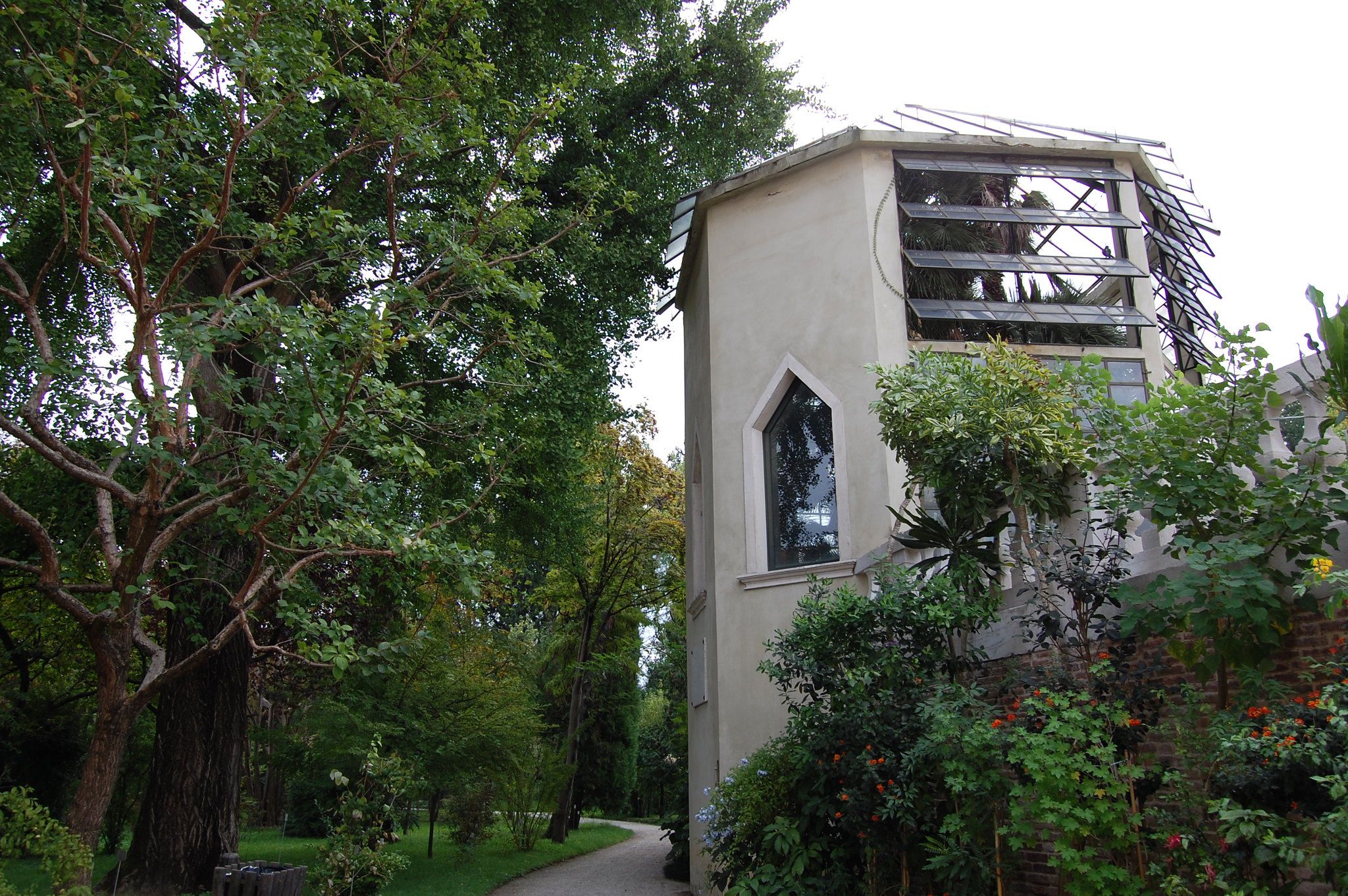 botanical garden, padua